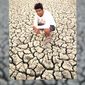 vimal chandramohn tiwari photo №68021