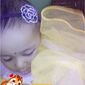 rishika raj dhat photo №69766