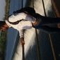 Rohit  Bathija photo №15485