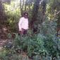 Jagdish.d.makwana   photo №22630