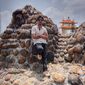 Sanket Srinivas Diwan photo №47807