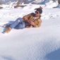 Aditya singh jamwal photo №93521